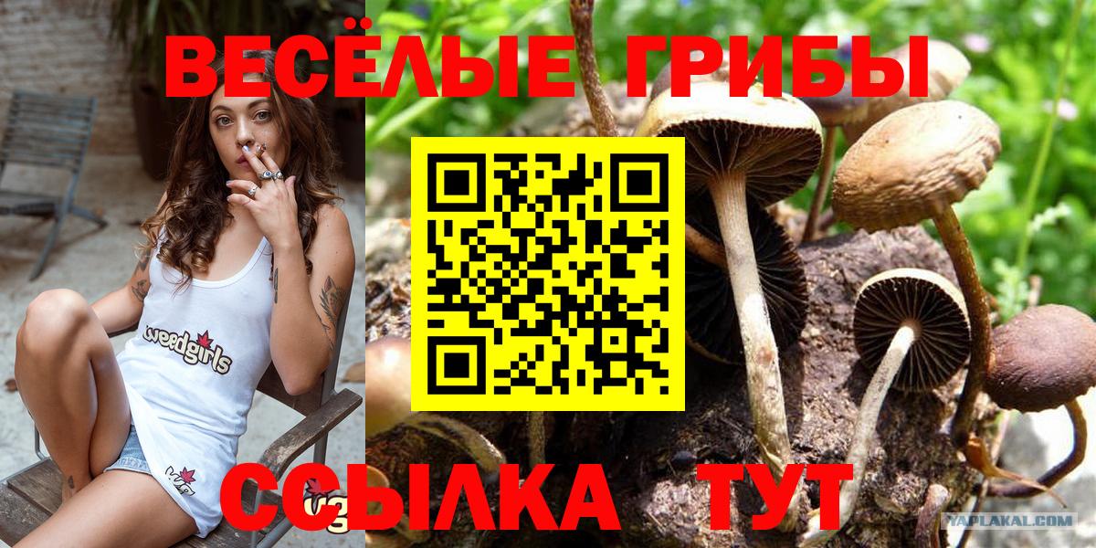 Псилоцибиновые грибы MAGIC MUSHROOMS  Вход с VPN  Галлюциногенные грибы мухоморы  Усть-Джегута 