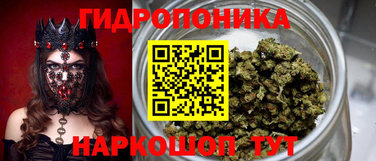 Бошки Шишки MAZAR  Вход с VPN  МАРИХУАНА тримм  Усть-Джегута 